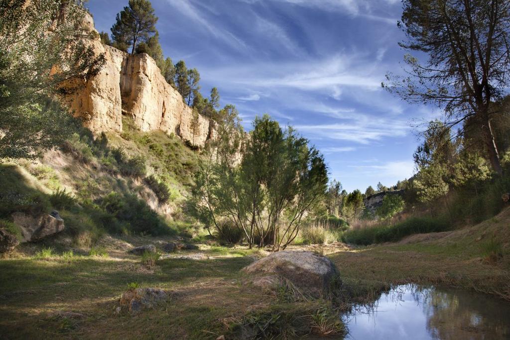 Alojamiento Turistico La Tinaja Requena Extérieur photo